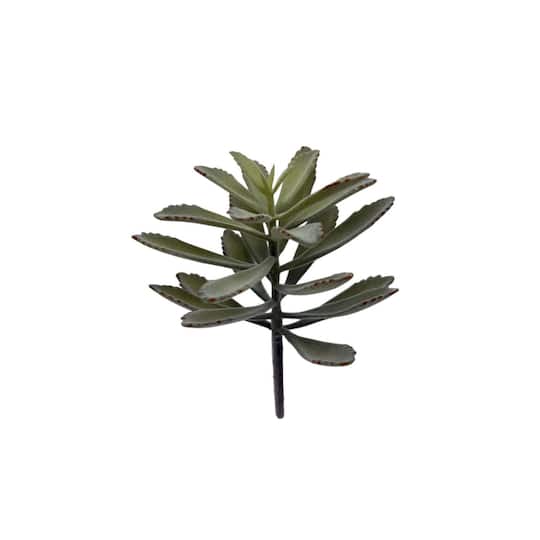 12 Pack: 7.5" Kalanchoe Pick by Ashland®